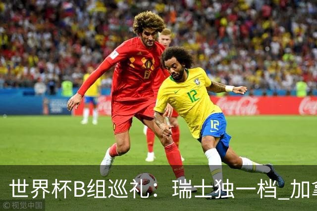 世界杯B组巡礼：瑞士独一档 加拿大觊觎心十足
