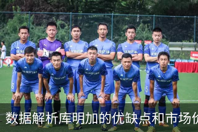 数据解析库明加的优缺点和市场价值，他适合湖人或骑士吗？
