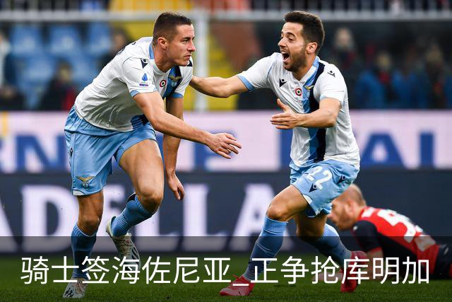 骑士签海佐尼亚 正争抢库明加